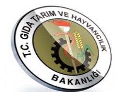 Süt dağıtımı başlıyor