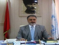 Arslan gitti, Çınar geldi