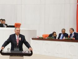 Yılmaz TBMM'de Kurtuluş Günlerini anlattı